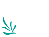 Lavender Catering logo